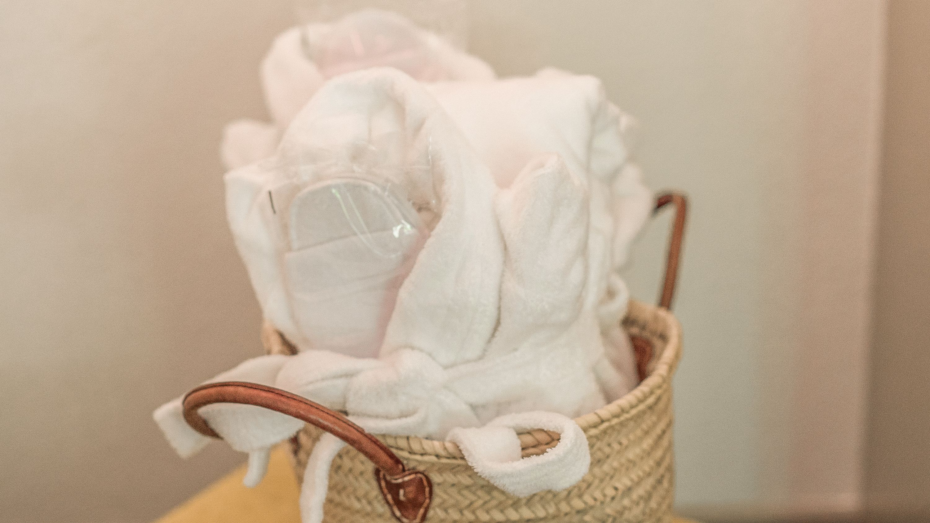 hypo-allergenic bedding, individually decorated, individually furnished