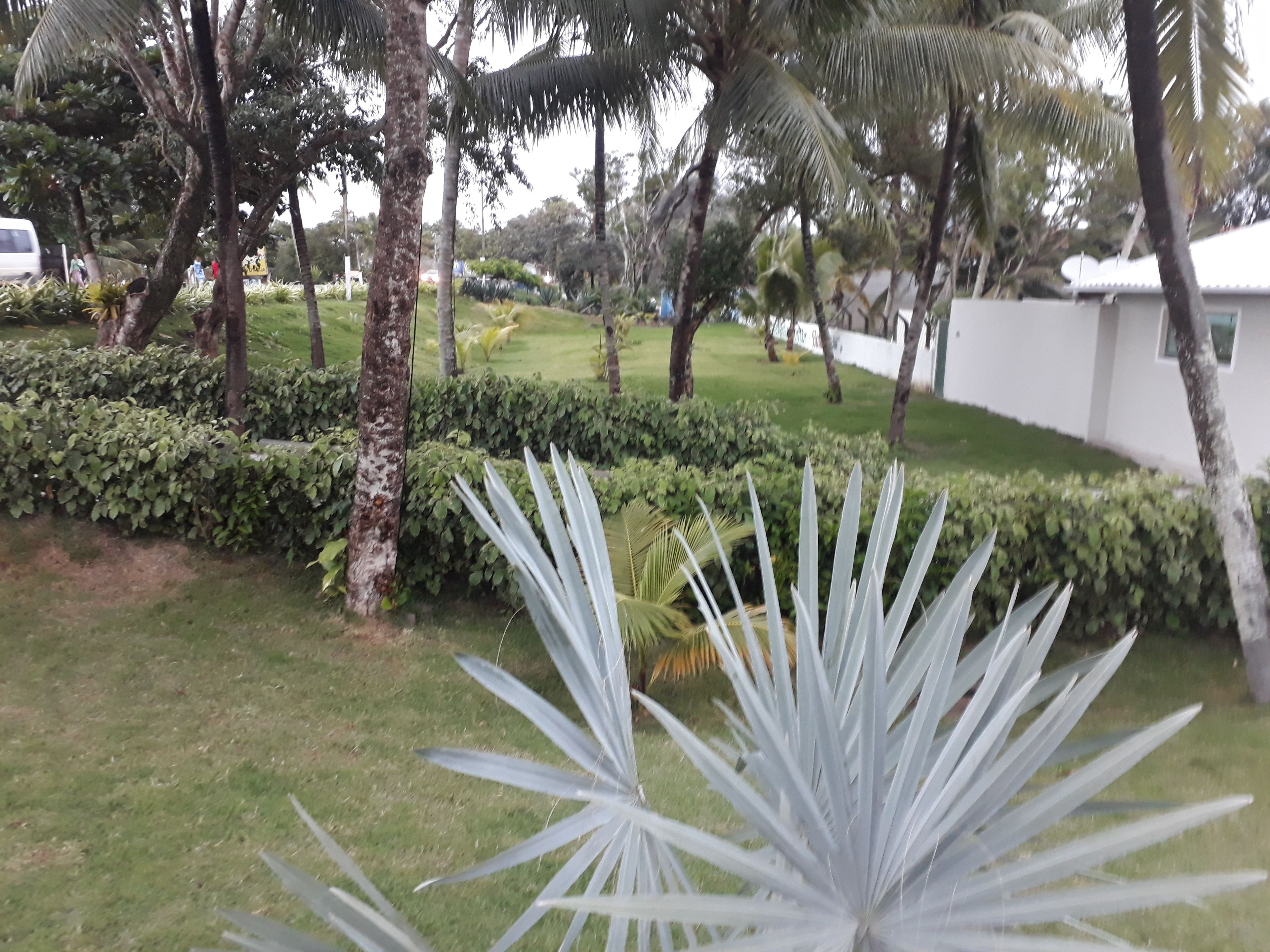 Taman