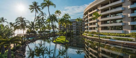 A resort with a pool, palm trees, and a multi-story building.