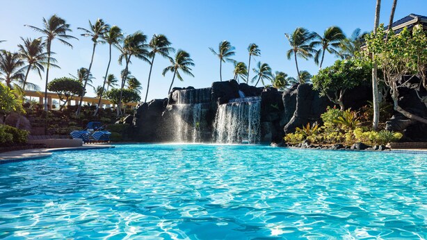 Una piscina con cascata, circondata da palme e uno sfondo roccioso.