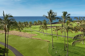 A golf course with a view of the ocean and palm trees.