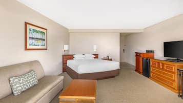 A hotel room with a bed, a sofa, a television, a desk, and a kitchen area.