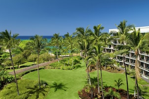 Un resort con piscina, palmeras y vistas al océano.