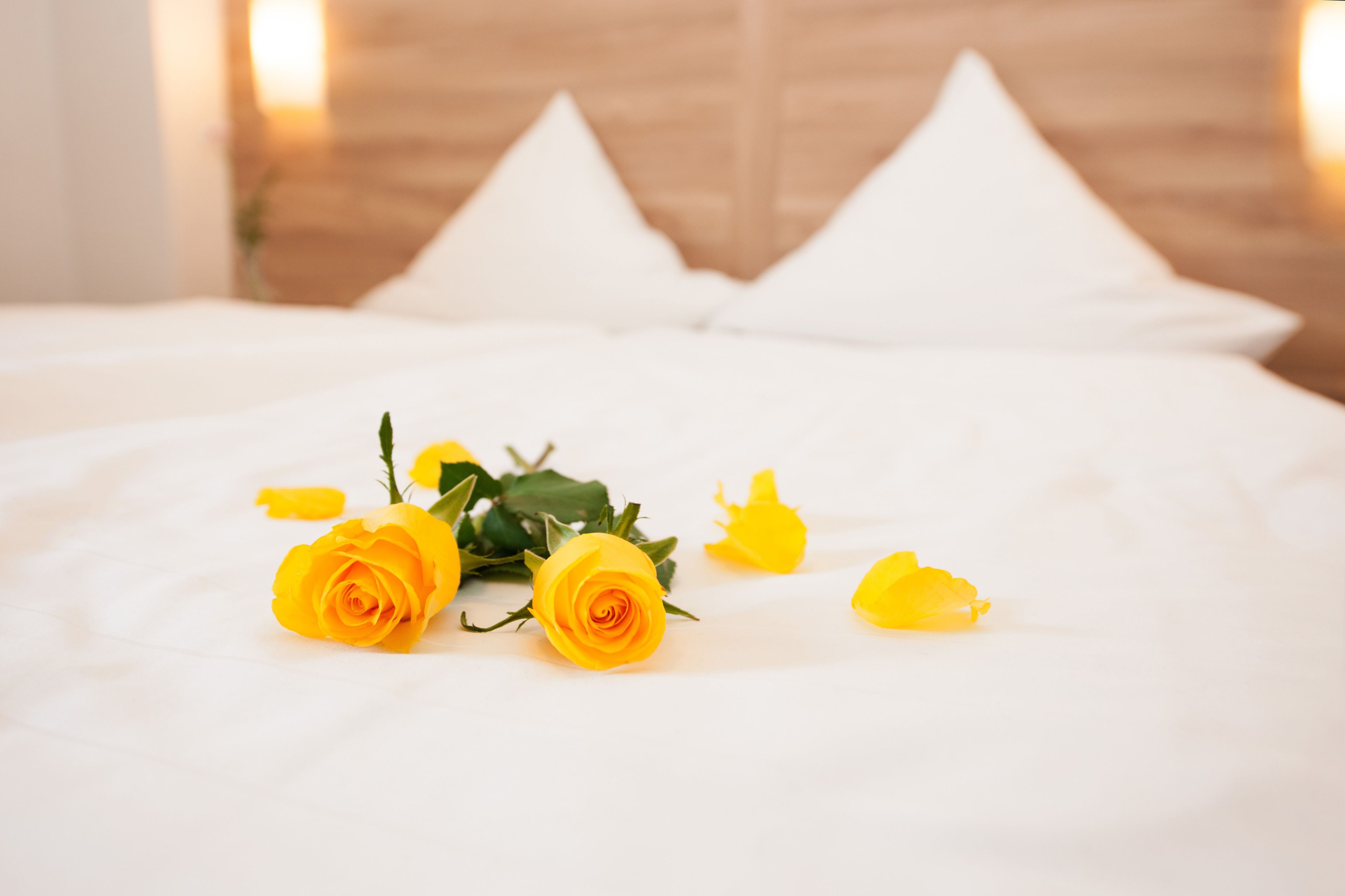 double room | room amenity