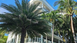 Un edificio de fachada blanca y balcones, rodeado de palmeras.
