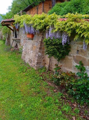 Property grounds - Cottage with private pool and Jacuzzi corner, ideal atmosphere for romantic couples and honeymooners (Castiglion Fiorentino)