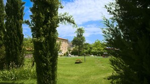 Eine begrünte Außenanlage mit Bäumen, einem Gebäude im Hintergrund und blauem Himmel.