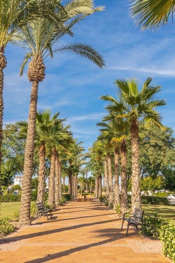 Terrein van de accommodatie