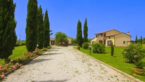 A gravel path leading to a house with a stone staircase, surrounded by greenery and tall cypress trees. - PODERE MARCIGLIANO - CORITO (Cortona)
