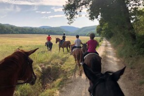 Fitness facility - LA CASETTA NEL BOSCO - LA CASETTA NEL BOSCO (Sinalunga)
