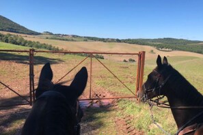 Property grounds - LA CASETTA NEL BOSCO - LA CASETTA NEL BOSCO (Sinalunga)