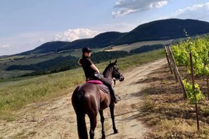 Fitness facility - LA CASETTA NEL BOSCO - LA CASETTA NEL BOSCO (Sinalunga)