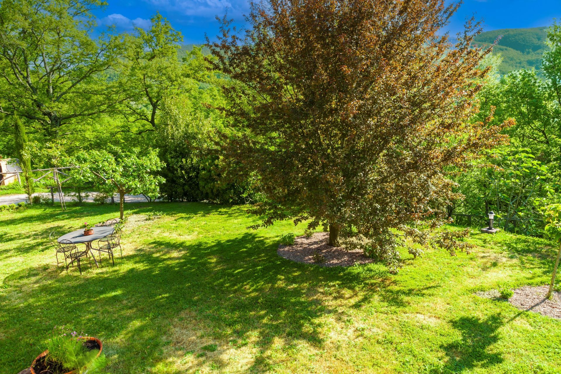 A well-maintained garden with a dining table and chairs, surrounded by lush greenery and trees.