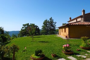 Property grounds - Farmhouse with private pool in a panoramic position on the border between Tuscany and Umbria. Fenced (Cortona)