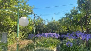 Un camí de jardí amb mur de pedra, diferents plantes i un llum blanca penjant.