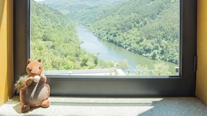 A window with a view of a river surrounded by forested hills. - Private Pool with fantastic views over Douro River - Porto & Airport 1H (Marco De Canaveses)