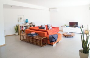 TV, DVD player, books