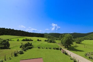 Een landelijk landschap met glooiende groene heuvels, een heldere blauwe lucht en een grindpad dat door de velden slingert.
