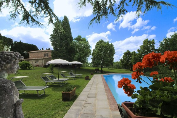 A swimming pool with lounge chairs and umbrellas, surrounded by greenery and a stone pathway.