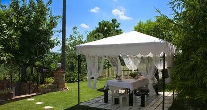 Panoramic villa surrounded by vineyards and olive groves, 5 km from Montepulciano and Torrita di Sie