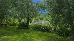 Un jardin avec un hamac, des arbres et un banc.