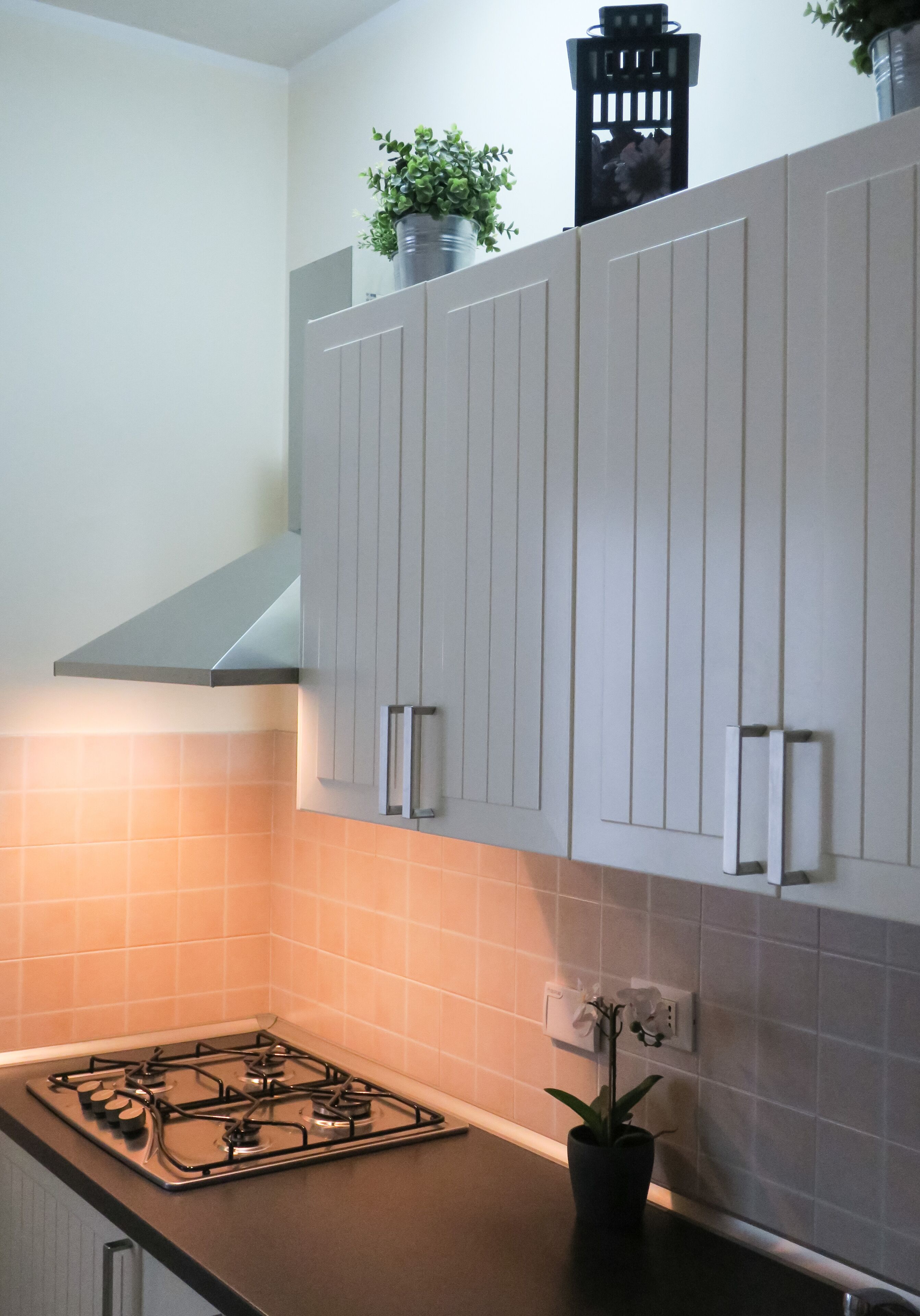 Une cuisine avec des meubles blancs, une cuisinière à gaz et une plante en pot.