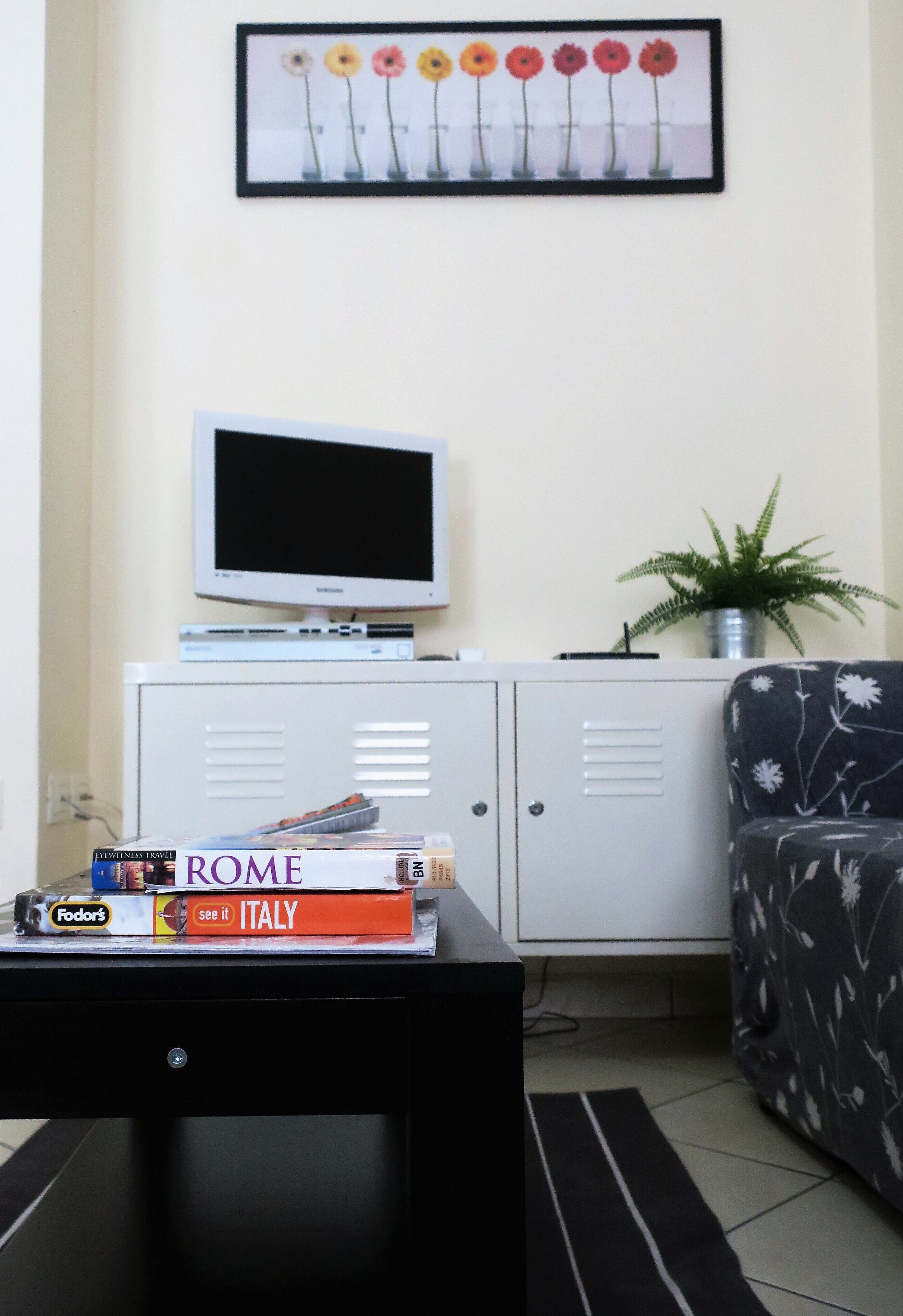 Fernseher, Computerbildschirme