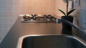Eine moderne Küche mit Spüle aus Edelstahl, einem Gasherd und einem Topfhanf-Orchideenstrauch.