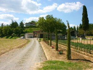 Property grounds - Old stone farmhouse, large outdoor area with paved terrace equipped with garden furniture. Quiet and (Monte San Savino)
