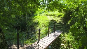 A wooden boardwalk through a lush green forest with a metal fence.