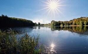 Imagen sin descripción, 2 de 25, botón