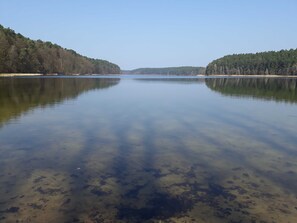 Unclassified image, 3 of 50, button