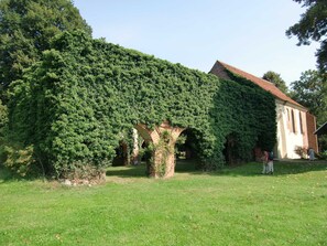 Unclassified image, 3 of 50, button