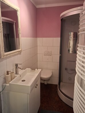 Shower, towels, toilet paper