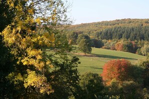 Imagen sin descripción, 3 de 21, botón