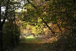 Image sans description, 3 de 21, bouton