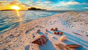A beach with various seashells and footprints in the sand, a sunset in the background, and a calm sea. - Waterview 3 ensuite home with pool 
HGTV chose as ideal vacation home! (Marco Island)