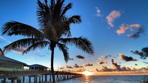 A beach with a palm tree, a pier, and a sunset over the ocean.