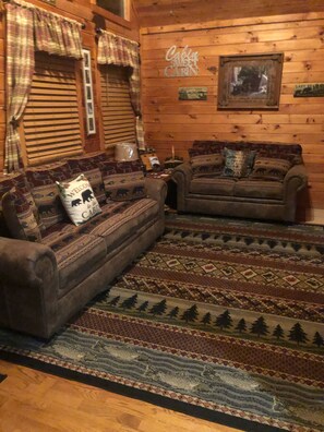 Smart TV, fireplace, DVD player, video library