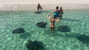 En la playa, toallas de playa