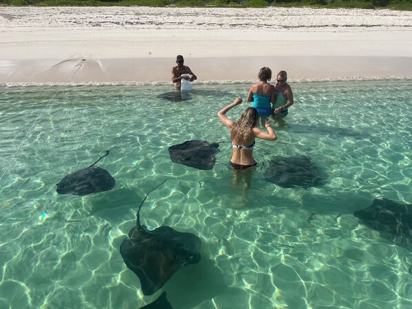 On the beach, beach towels