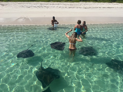 The Penthouse with sweeping views of Cocoa bay beach , green turtles & Rays