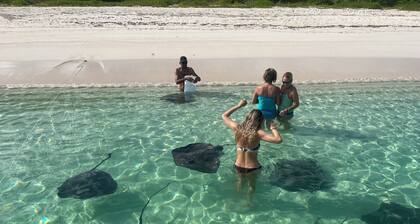 The Penthouse with sweeping views of Cocoa bay beach , green turtles & Rays