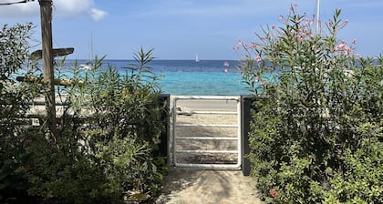 Spektakuläre Villa am Meer direkt am Playa Lechi! 8 Minuten zu Fuß in die Stadt.