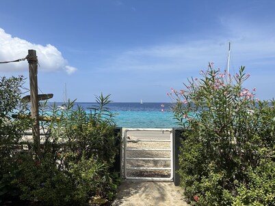 Spectacular ocean front villa directely on Playa Lechi ! 8 min walk to town.