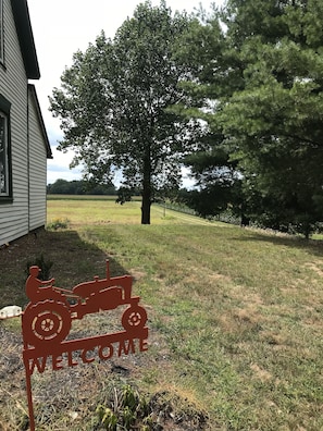View from property