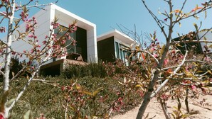 Un edificio moderno con techo plano y amplios ventanales, rodeado de follaje y plantas florecientes.