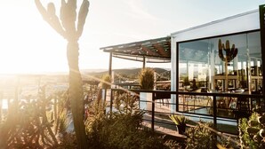 Un edificio moderno con fachada de vidrio, zona de estar al aire libre y un cactus en primer plano.
