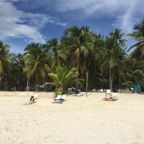 A beach with palm trees and several sun loungers. - Hotel Boutique Caribbean Revelation (San Rafael del Yuma)