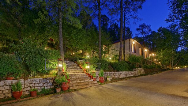 Una casa con una escalera de piedra que lleva a una puerta de madera, rodeada de abundante vegetación y árboles.